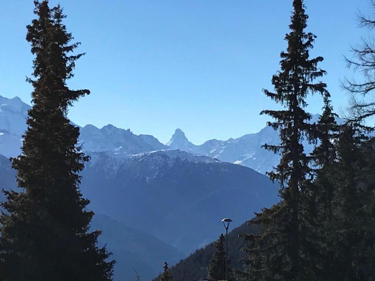 Schoenegg Hochparterre Riederalp Esterno foto